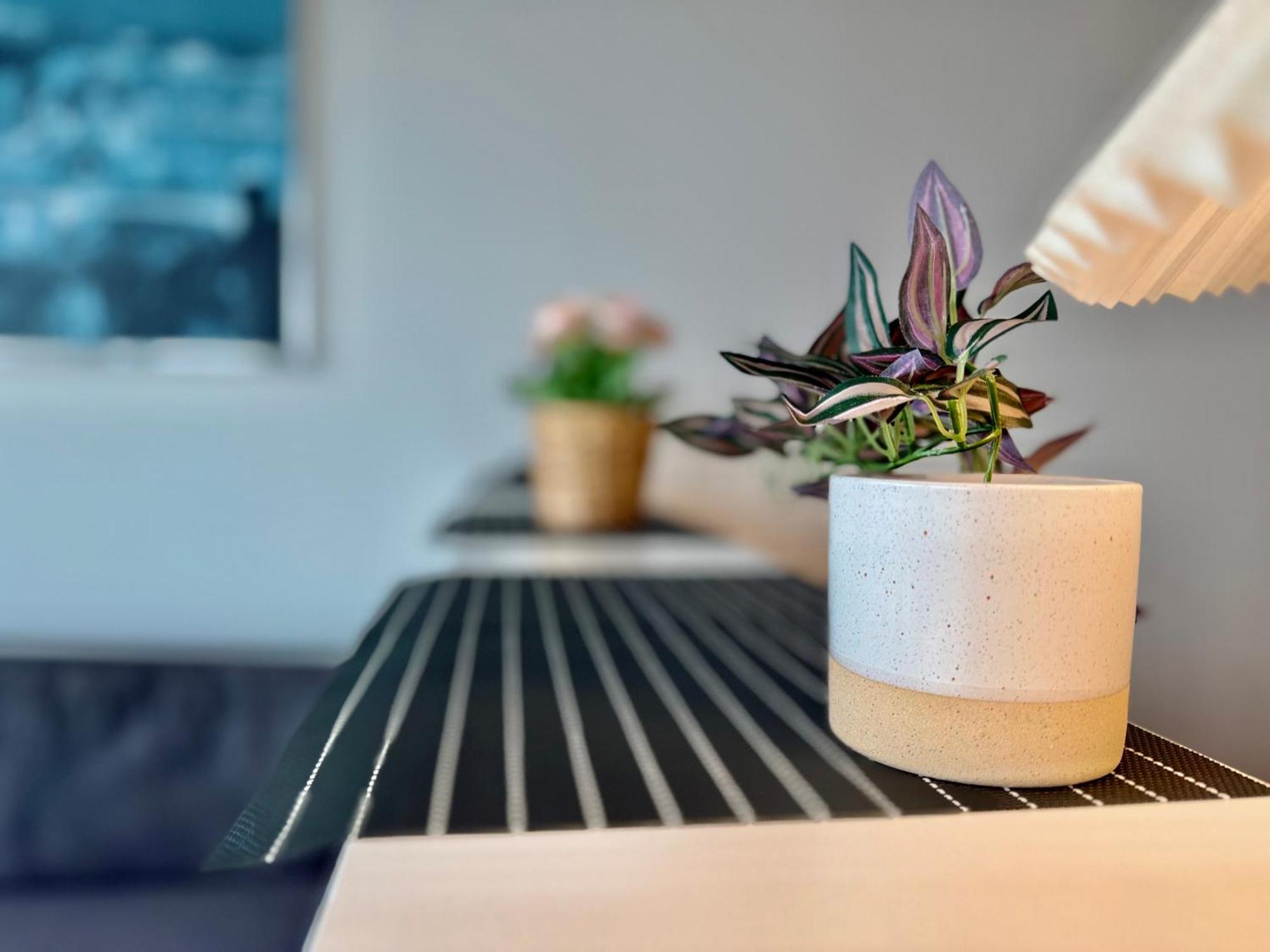Stunning!!! City-Center!! Retreat With Modern Amenities Birmingham Buitenkant foto